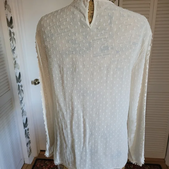 Zara Cream Ivory Swiss Dot Sheer Lace Blouse Tunic Sz M - Picture 8 of 9